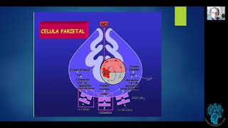 FARMACOLOGÍA GASTROINTESTINAL  TRATAMIENTO DE LA HIPERSECRECION ÁCIDA [upl. by Tima]