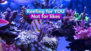 Reefing for You  Not for Likes [upl. by Eniamreg23]