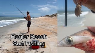 Surf Fishing in Flagler Beach Florida Shark Infestation fishing shark outdoors florida fish [upl. by Thorne404]