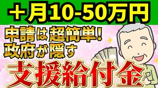 【政府が絶対に言わない】知るだけで月50万円得する隠れた支援給付金！【2024年最新情報】 [upl. by Perzan694]