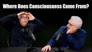 Where Does Consciousness Come From [upl. by Domel]