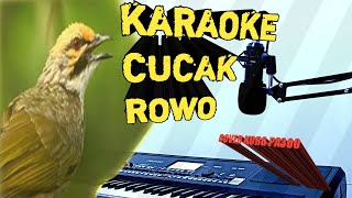 KARAOKE CUCAK ROWO  LIRIK  Cipt Didi Kempot  Dangdut [upl. by Noir]