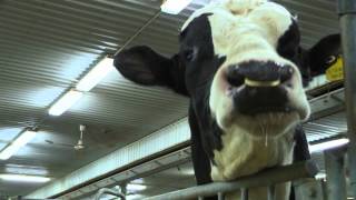 Semex Corporate Video [upl. by Geoff]