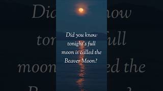 The Shocking Truth About Novembers Full Moonearthsky supermoon fullmoon supermoon november [upl. by Tillion]