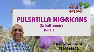 My Experiences with Pulsatilla Nigricans Part 1 [upl. by Alexandro]