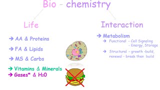 An Introduction to Biochemistry [upl. by Marthena]