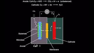 Microbial Fuel Cells Introduction MFCs pt 1 [upl. by Etteval]