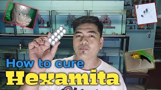 How to cure Hexamita [upl. by Arol]