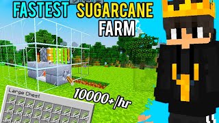 FASTEST sugarcane farm in Minecraft PE 121 [upl. by Rehsa936]