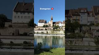 Lovely Bremgarten 🇨🇭 Switzerland swissbeautiful swissnature shortvideo shorts swissbeauty [upl. by Doraj]