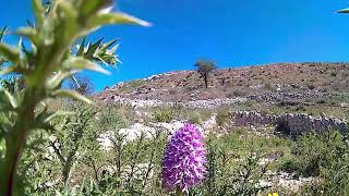 Montagna di Ramacca [upl. by Rheba]