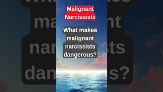 Inside the Mind of a Narcissist 🤯  Psychology Explained facts psychology musicalhealing [upl. by Yelserp758]