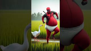 💟 evolution of Deadpool ✅ superhero Marvel avengers marvel evolutionofdeadpool [upl. by Waltner]