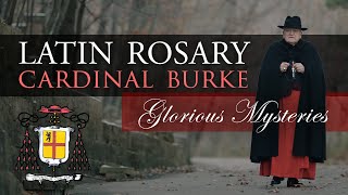 Pray the Rosary in Latin with Cardinal Burke Glorious Mysteries [upl. by Thalassa212]