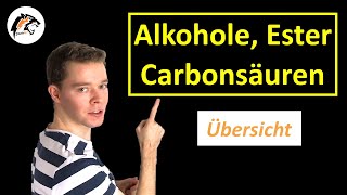 Alkane Alkohole Carbonsäuren amp Ester Übersicht  Chemie Tutorial [upl. by Annawyt544]