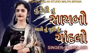 તું કેતી તું સાયબો મારો  dj love song 2023  Alvira mir  Tu Keti tu saybo maro  alviramir [upl. by Grondin]