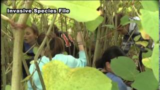 Invasive species under attack at Upper Great Lakes Invasive Species Conference [upl. by Nho]