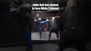 Eddie Hall Gets Kicked In Face While Training mma [upl. by Tteirrah]