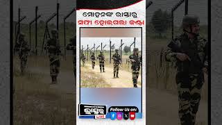 ମୋହନ ରାସ୍ତାରୁ ସଫା ହୋଇଗଲା କଣ୍ଟା  shorts yshorts mohanmajhi officers odishabhaskar odisha [upl. by Britteny]