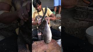 Leather jacket fish cutting skillsshorts [upl. by Sirahc]