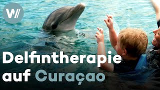 Delfintherapie für Kinder mit besonderen Bedürfnissen  Delfinzentrum auf der Karibikinsel Curaçao [upl. by Benioff]