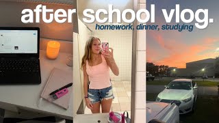 AFTER SCHOOL VLOG homework dinner studying [upl. by Bethena]