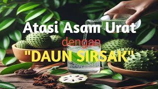 quotAsam Uratquot Atasi dengan Daun Sirsak [upl. by Einattirb]