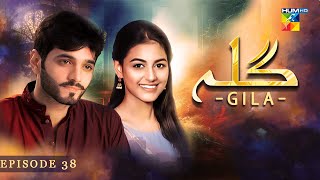 Gila Episode 38  Wahaj Ali  Anzela Abbasi  Best Pakistani Serial  HUM TV [upl. by Sivie]