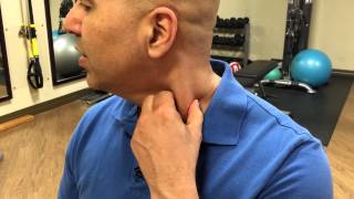 How to selftreat sternocleidomastoid muscle trigger points  trigger point release [upl. by Aneleh256]