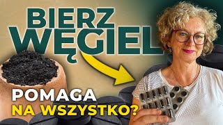 WĘGIEL medyczny MUSISZ stosować [upl. by Narba]