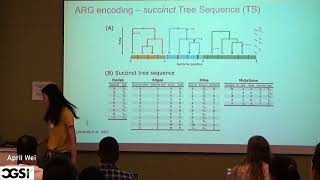 Xinzhu April Wei  Genotype Representation Graph Enabling Efficient Analysis of   CGSI 2024 [upl. by Laenej644]