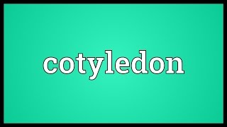 Cotyledon Meaning [upl. by Nytsua]