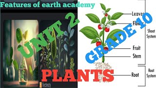 Grade 10 biology unit 2 part 5 27 photosynthesis [upl. by Swain]