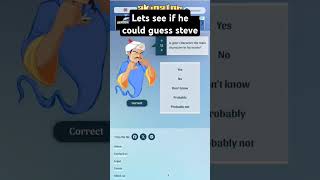 Akinator is a genius steve akinator [upl. by Oznecniv]