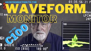 The WaveForm Monitor  an introduction to how to interpret it on the Canon C100 [upl. by Anaugal]