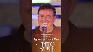 Amado Batista  Agora Ou Nunca Mais  Amado Batista  Só as Antigas amor romântica  Modão Sertanejo [upl. by Medea]