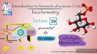 Biochemistry  Dr Abbas  Module 102  Lec 29 Carbohydrate metabolism [upl. by Eob626]