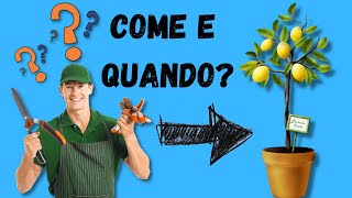 Come e quando potare il limone Video Tutorial [upl. by Nariko288]