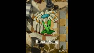 Bloomerang en 25 segundos pvz [upl. by Bonnice]