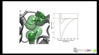 Amino acids structure classification diversity of R groups Interatomic forces [upl. by Oinotla201]