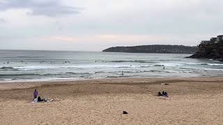 Sydney Surf Report Freshwater Beach Australia 08092024 [upl. by Thanasi416]