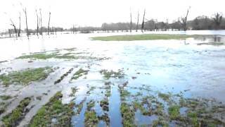 Rivier De Dinkel overstroming bij kleine bruggetje en weiland in De Lutte 3 van 4 [upl. by Hun]