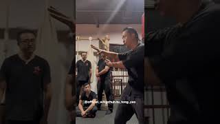 Mastering Wing Chun Exploring the Effective Horizontal Palm Technique  Master Tu Tengyao [upl. by Mell]