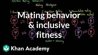 Mating behavior and inclusive fitness  Individuals and Society  MCAT  Khan Academy [upl. by Alric]