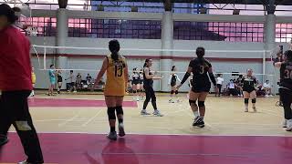 Amazons 2 vs Amazons 1 10122024 ðŸðŸ’œ [upl. by Okiron569]