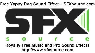 Free Yappy Dog Sound Effect  SFXsourcecom [upl. by Tewell]