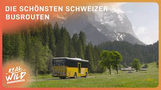 Schweizer Reise Abenteuer mit dem Postauto  Real Wild Deutschland [upl. by Cohdwell]