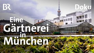 Als Gärtner in München  Vom Frühjahr bis zum Herbst  Unter unserem Himmel  Doku  BR  Familien [upl. by Airednaxela]