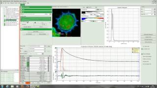 SymPhoTime Tutorial FLIM Lifetime Fitting [upl. by Nauqe536]