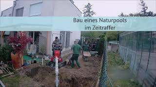 Naturpoolbau im Zeitraffer [upl. by Yelkrab]